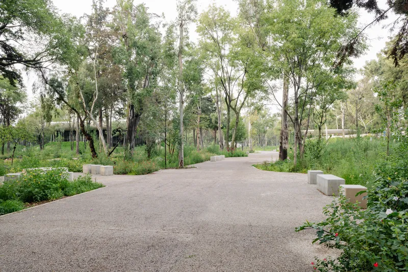 Gravel walkway flanked by concrete bollards and wildflower beds through a wooded grove