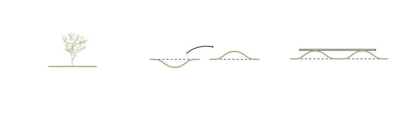 Section drawings illustrating the building relationship to natural topography and a single tree