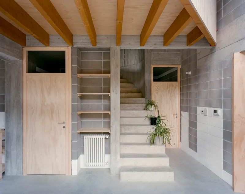 Concrete staircase with timber ceiling beams and built-in shelving beside potted plants