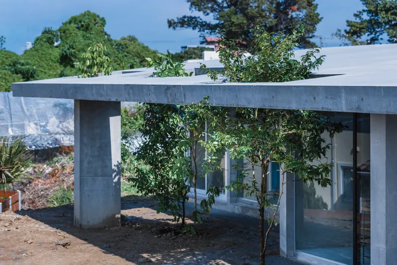 Corner detail of the concrete roof slab with trees growing through planted openings