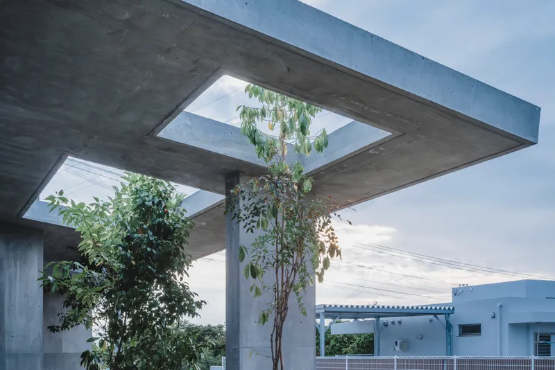 Underside of concrete roof canopy with rectangular openings framing planted trees below