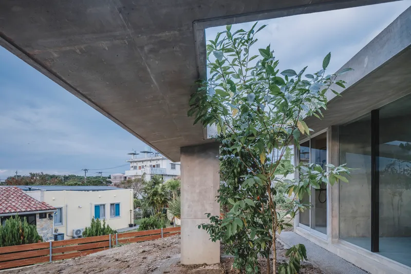 Rooftop terrace with concrete column supporting overhead slab and young tree planted in gravel bed