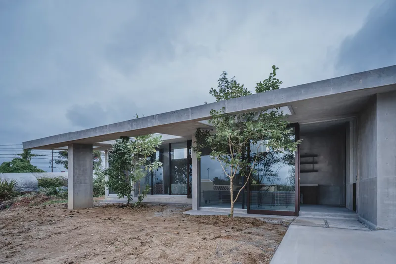 Concrete roof canopy extending over glass-walled volumes with young trees planted in bare earth below