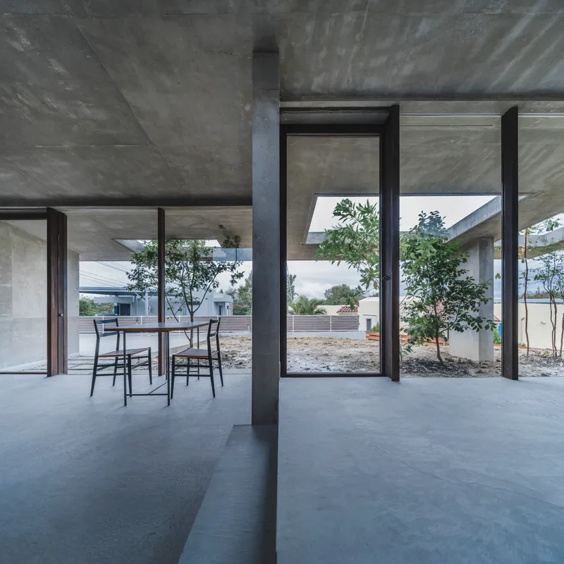 Interior courtyard view through black-framed glazing with planted trees casting dappled shadows on concrete surfaces