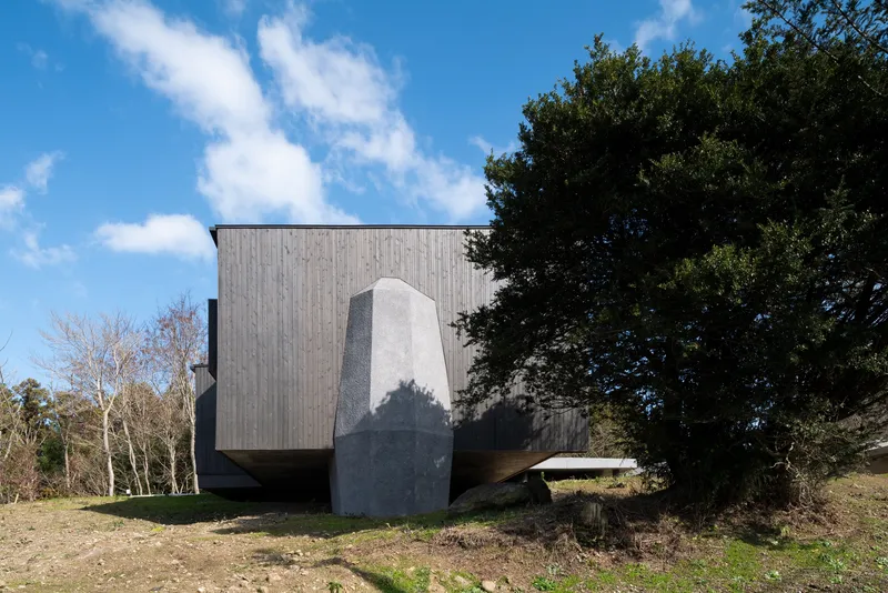 Concrete fin supporting the cantilevered timber-clad volume beside a tree casting shadow on the facade