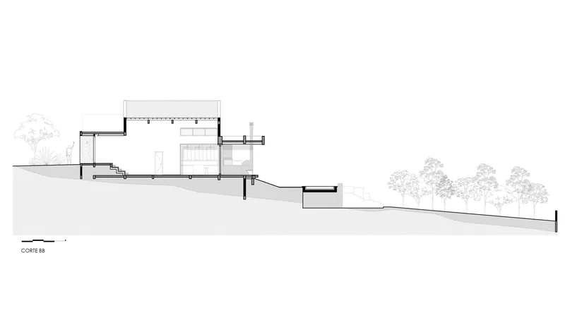 Longitudinal section drawing showing the building stepped down a sloping site with surrounding tree canopies