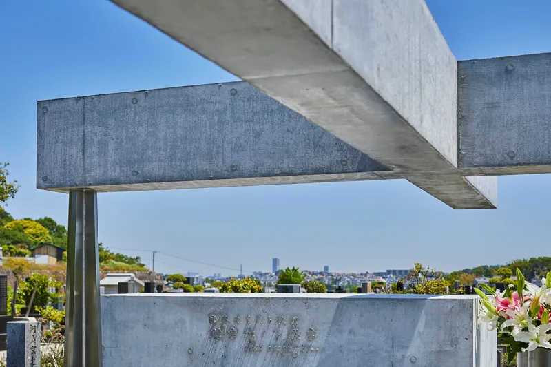 Underside of cantilevered concrete beams with exposed formwork ties above a distant tree line