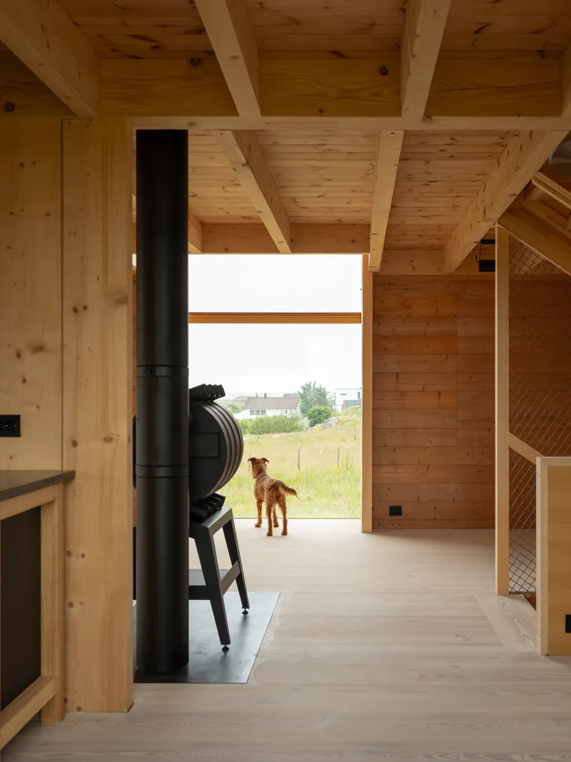 Interior hallway with exposed timber beams and a dog standing in the doorway