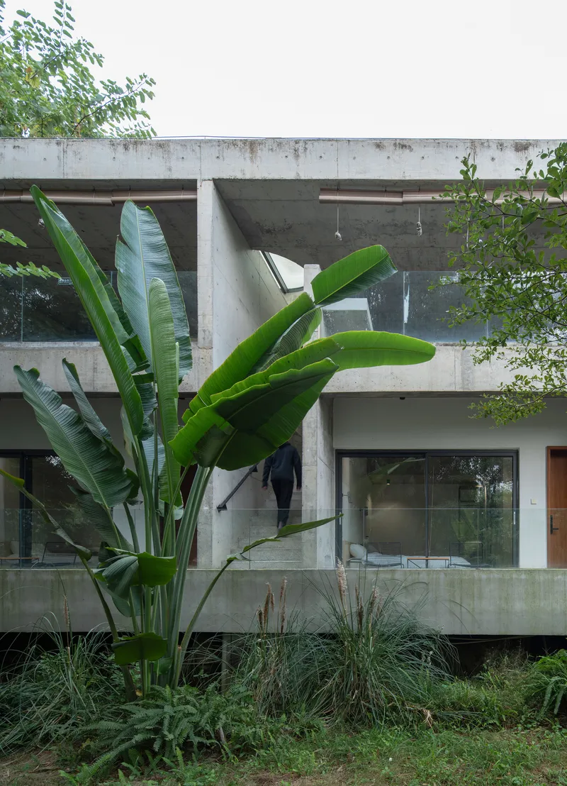 Board-formed concrete facade with ribbon windows and balconies surrounded by banana plants and low grasses
