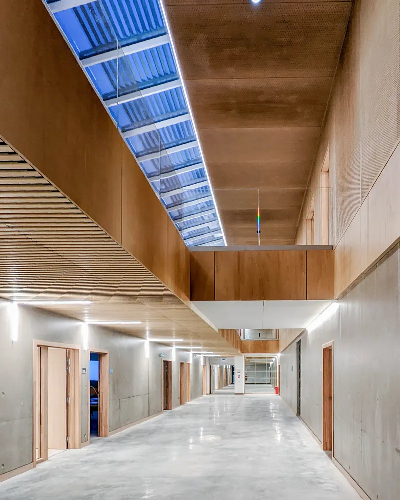 Double-height corridor with perforated timber ceiling panels and a linear skylight above polished concrete floors