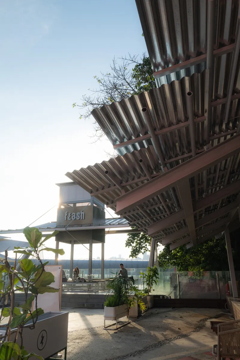 Underside of corrugated metal canopy with timber battens and tropical plantings below