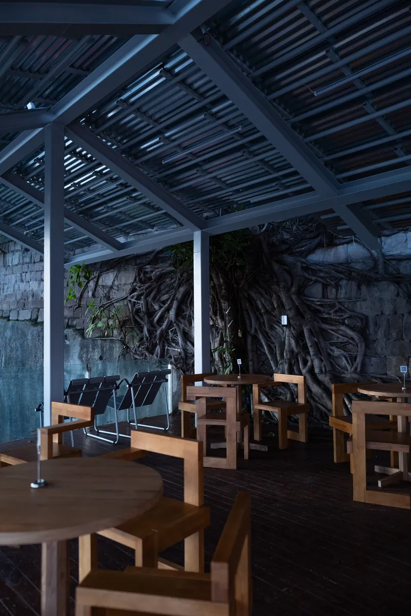 Interior seating area with slatted overhead structure and exposed banyan roots climbing the wall at dusk