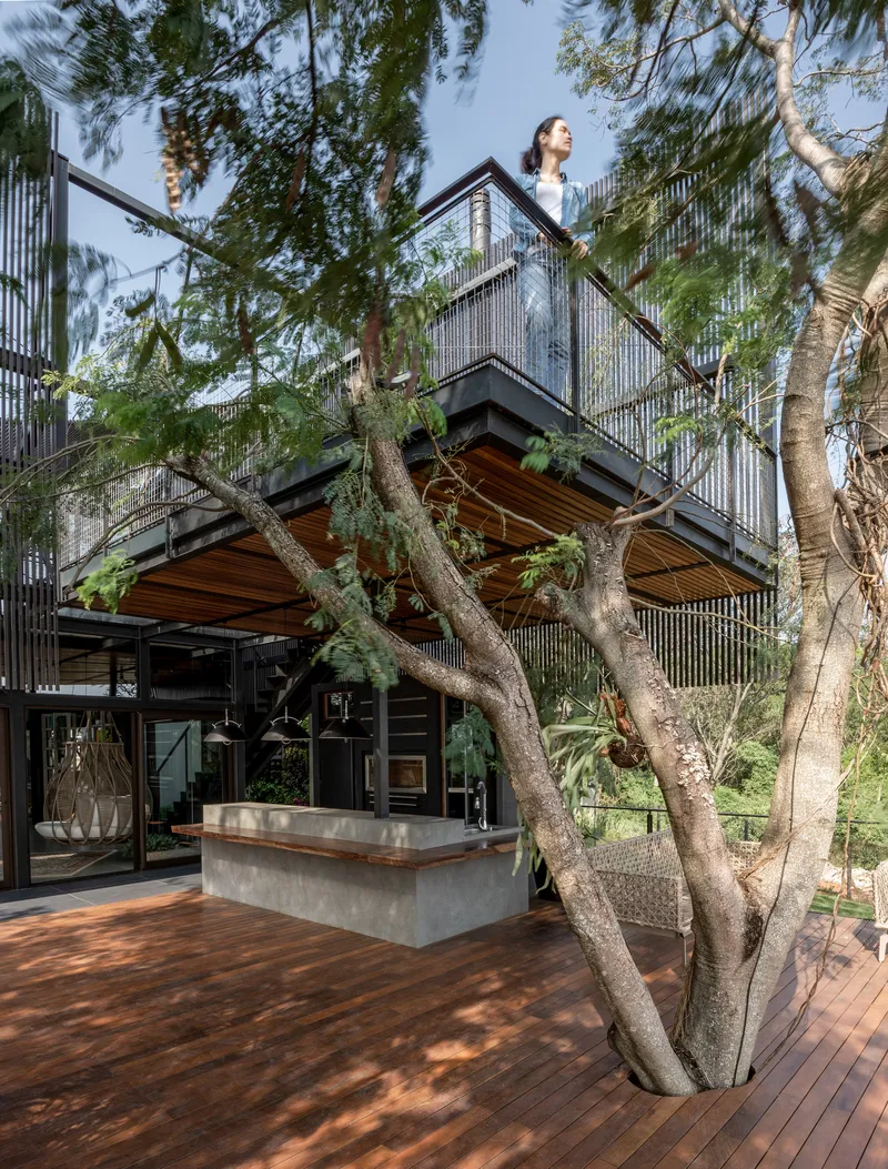 Timber deck with concrete kitchen island beneath corrugated metal balcony and preserved tree growing through the floor
