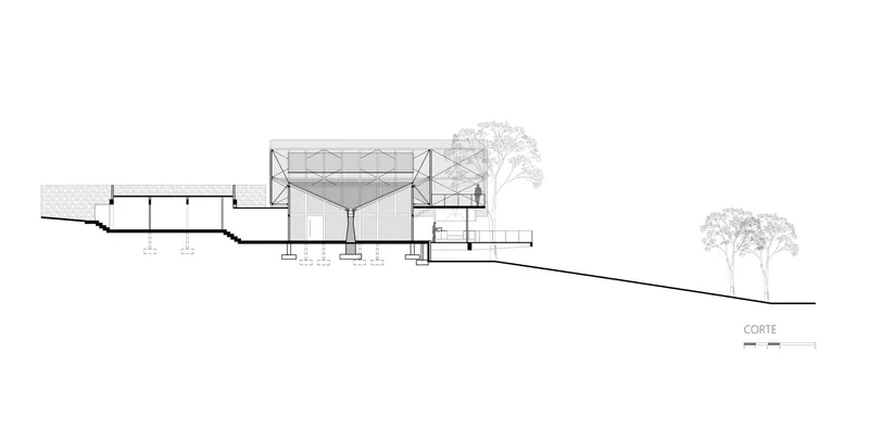 Section drawing showing a central elevated volume with glazed enclosure on a sloping site with trees