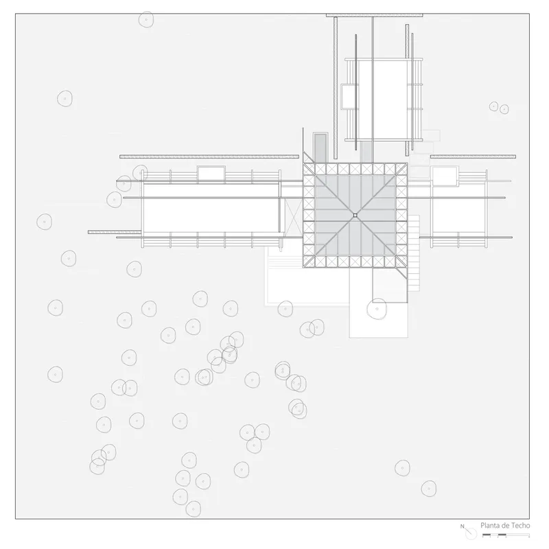 Roof plan showing central crossing steel truss structure with linear wings and tree canopies below
