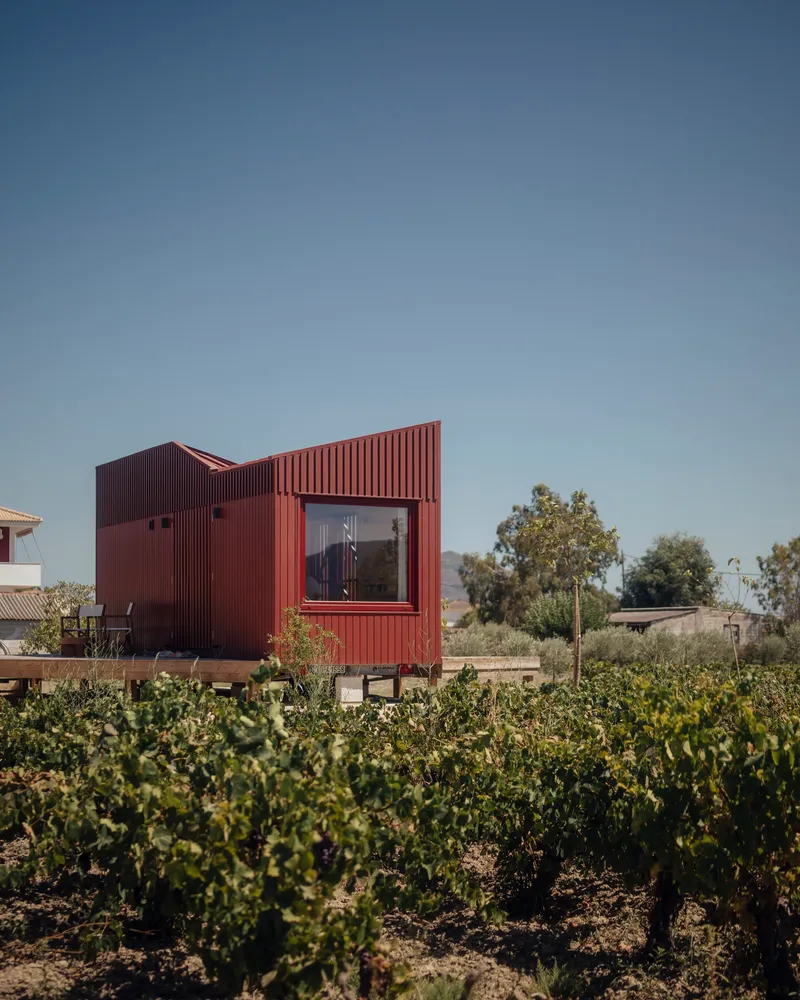 Angled facade with large window framed by red metal cladding rising above rows of grapevines