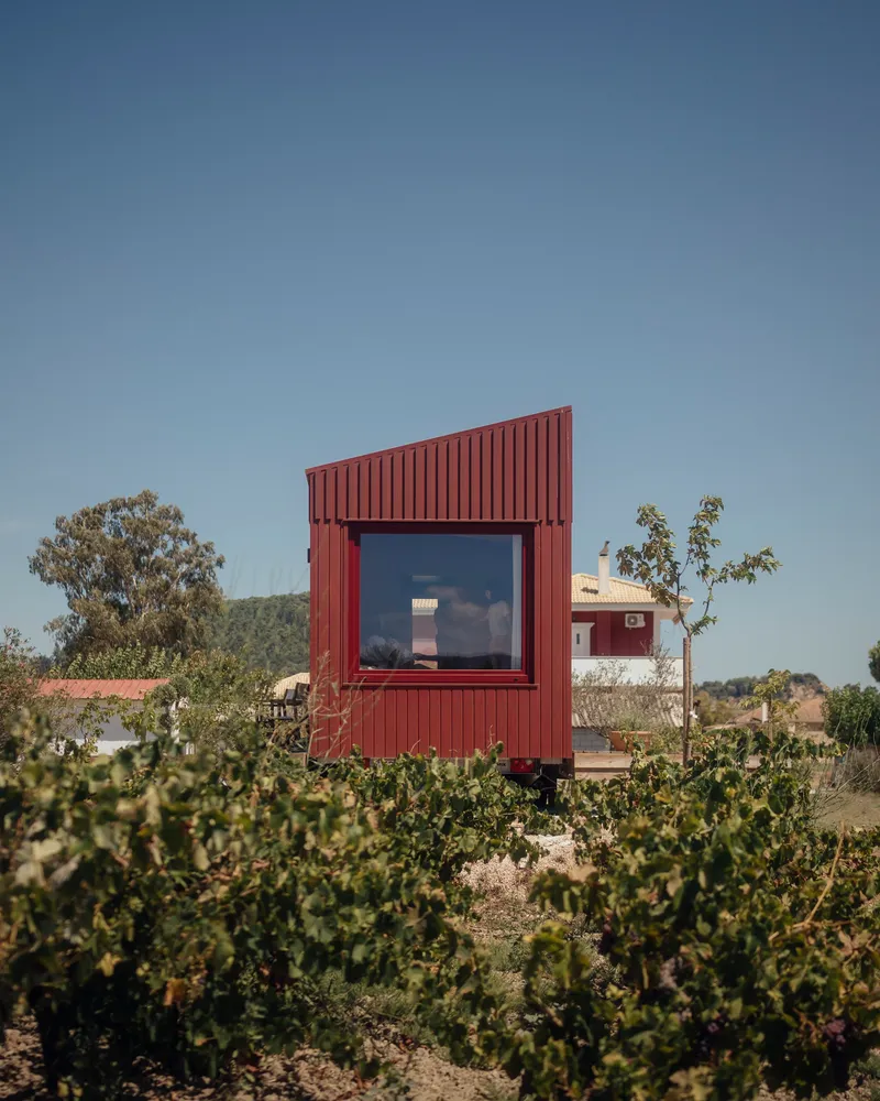 Front elevation showing vertical corrugated cladding and a single square window framed by grapevines
