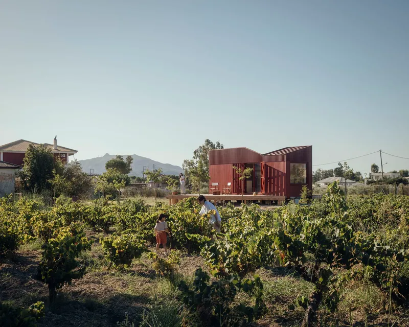 View across the vineyard with two figures walking among the vines in afternoon light