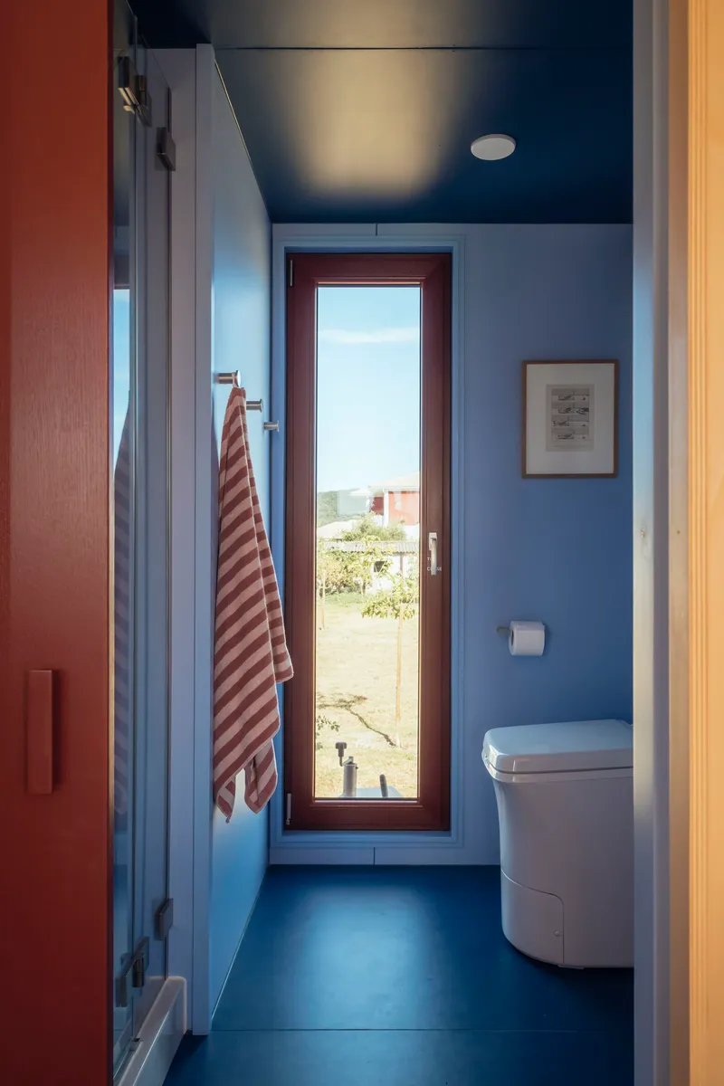 Narrow bathroom with blue walls, dark ceiling, and tall glazed door framing a landscape view