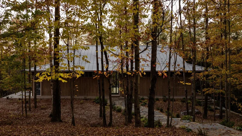 Timber-clad volume partially screened by deciduous trees in autumn foliage