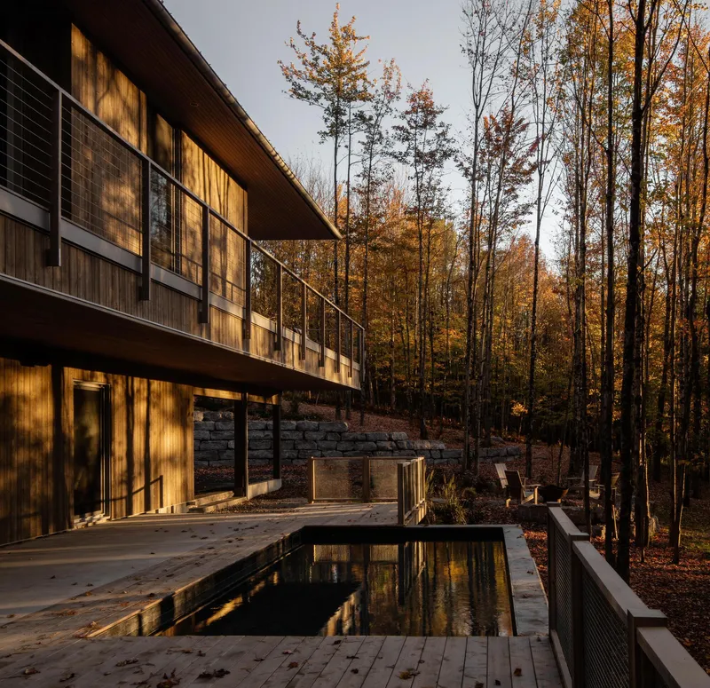Timber deck with reflecting pool facing the glazed facade in late afternoon light