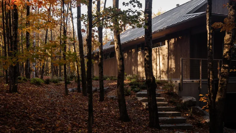 Timber facade with metal roof and stepping stone path through forest floor in dappled sunlight