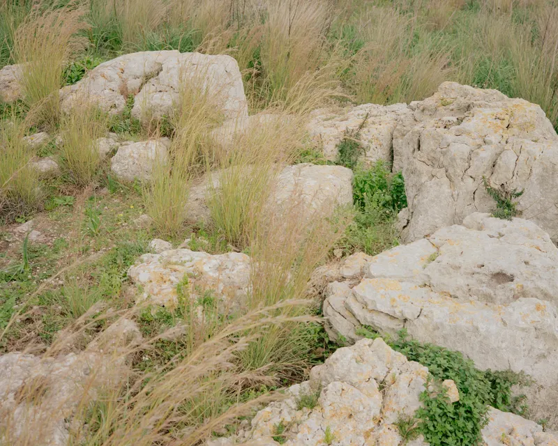 Weathered limestone blocks scattered among dry grasses and low green groundcover