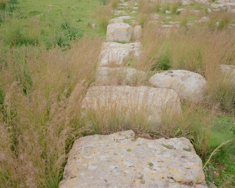 Aerial view of textured limestone slabs arranged in a path through tall golden grasses