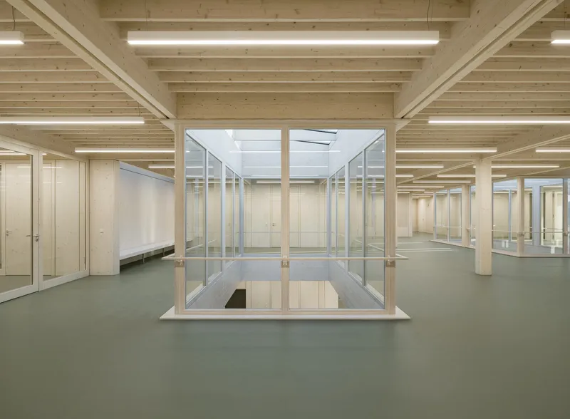 Interior view with exposed timber joists and a central glass-enclosed courtyard opening