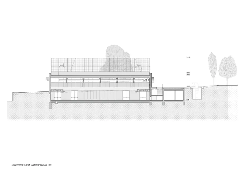 Longitudinal section drawing showing the multipurpose hall interior with diagonal bracing and trees above