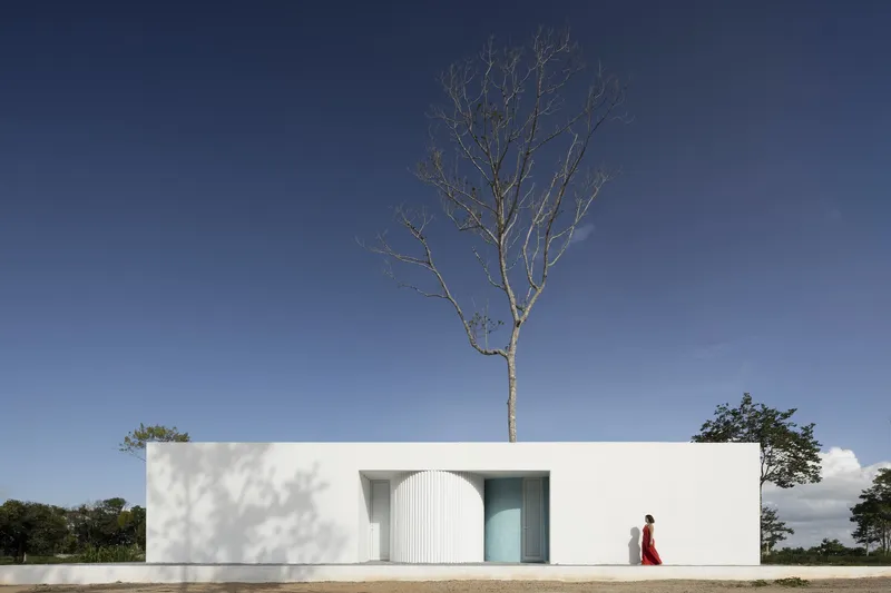 White facade with arched corrugated door and tall bare tree growing from the roofline