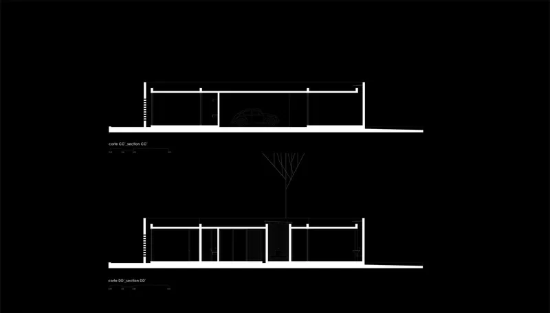 Elevation drawings showing two facade options with a large horizontal roof plane and adjacent trees