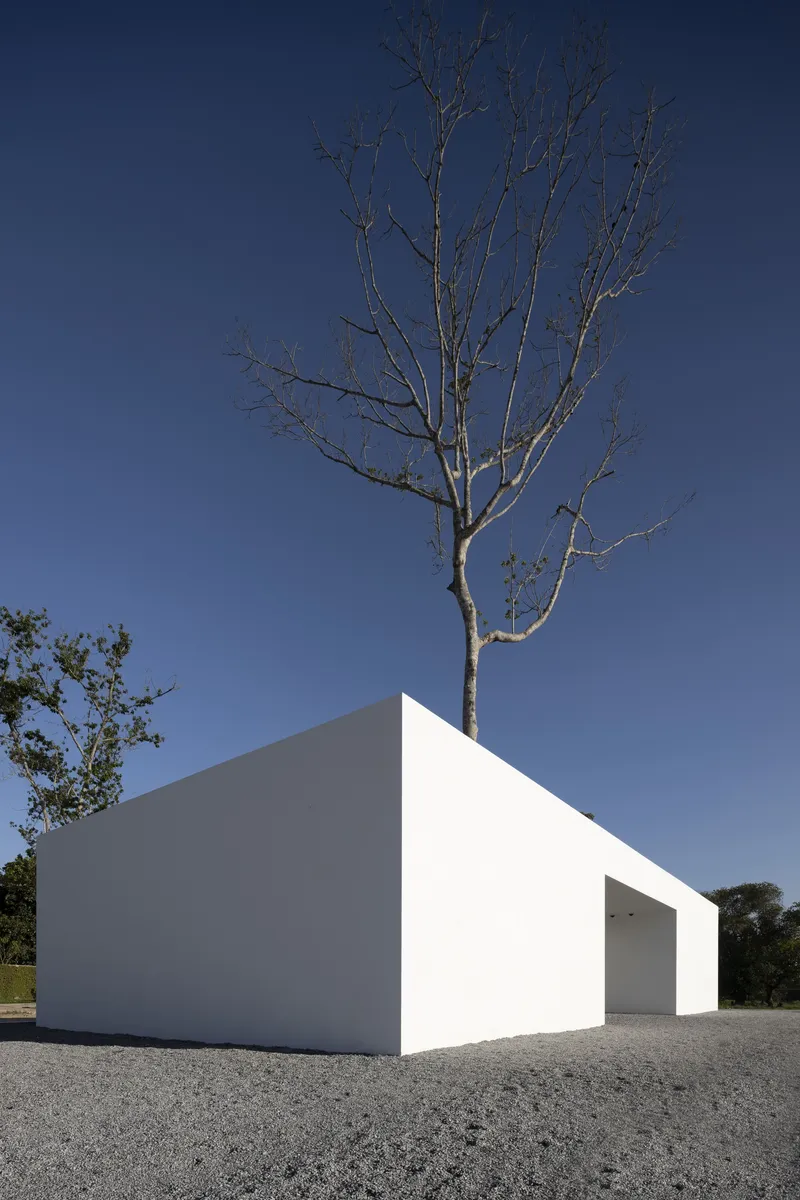 White cubic volume with a deep entrance recess and a bare tree rising from the rooftop