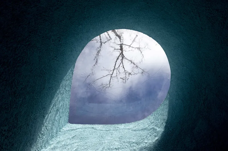 Circular skylight opening framing bare tree branches against an overcast sky above textured walls