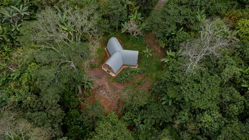 Top-down view of the tripartite vaulted roof surrounded by dense tropical vegetation