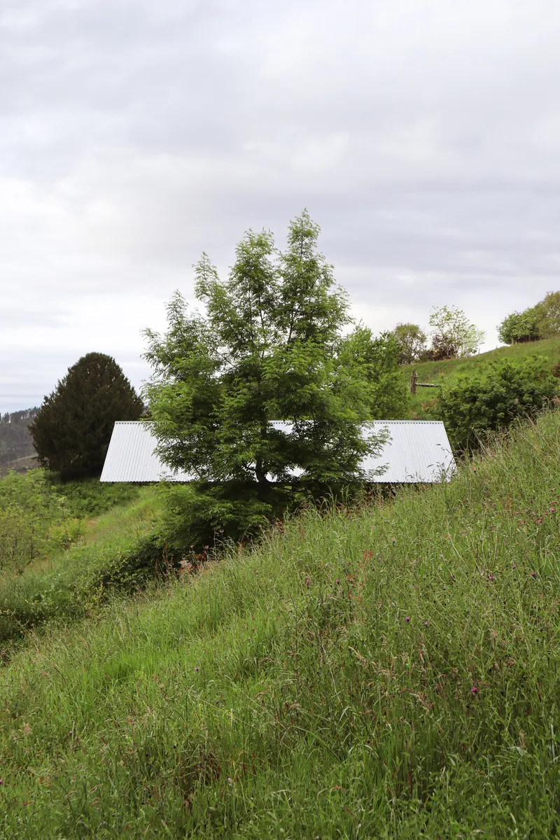 Two peaked metal roofs partially hidden by a leafy tree on the grassy slope under overcast skies