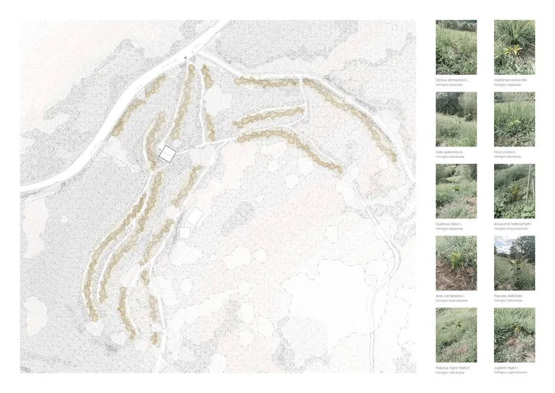 Site plan with terraced planting zones and a plant palette reference guide