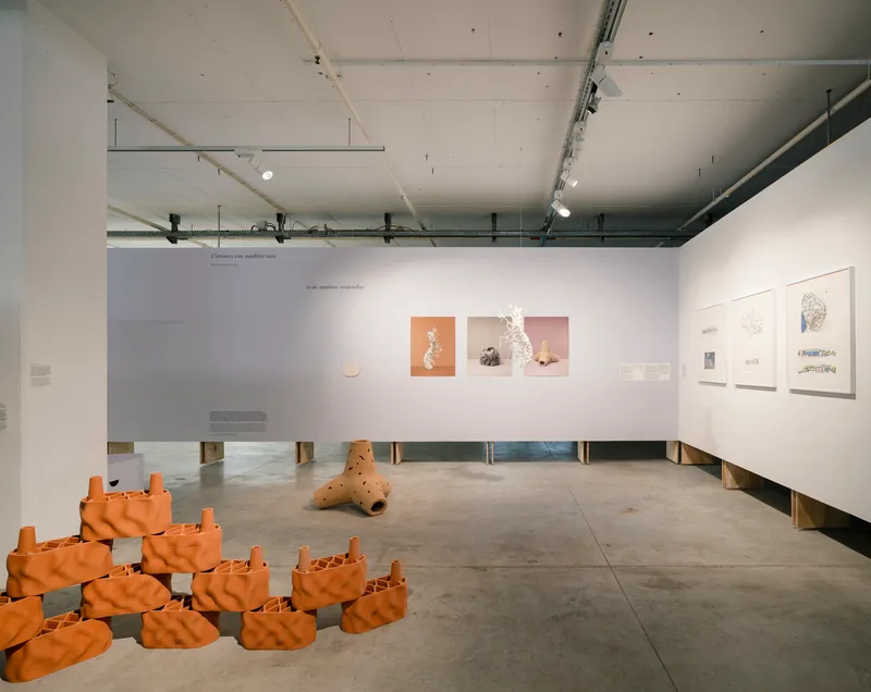Gallery view of terracotta sculptural objects arranged on floor beside long plywood bench and white wall