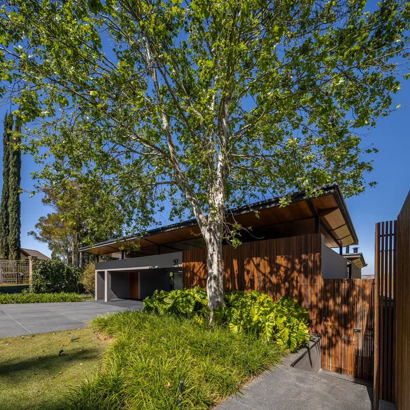 Street view of the timber-clad facade with cantilevered roof beside a large sycamore tree