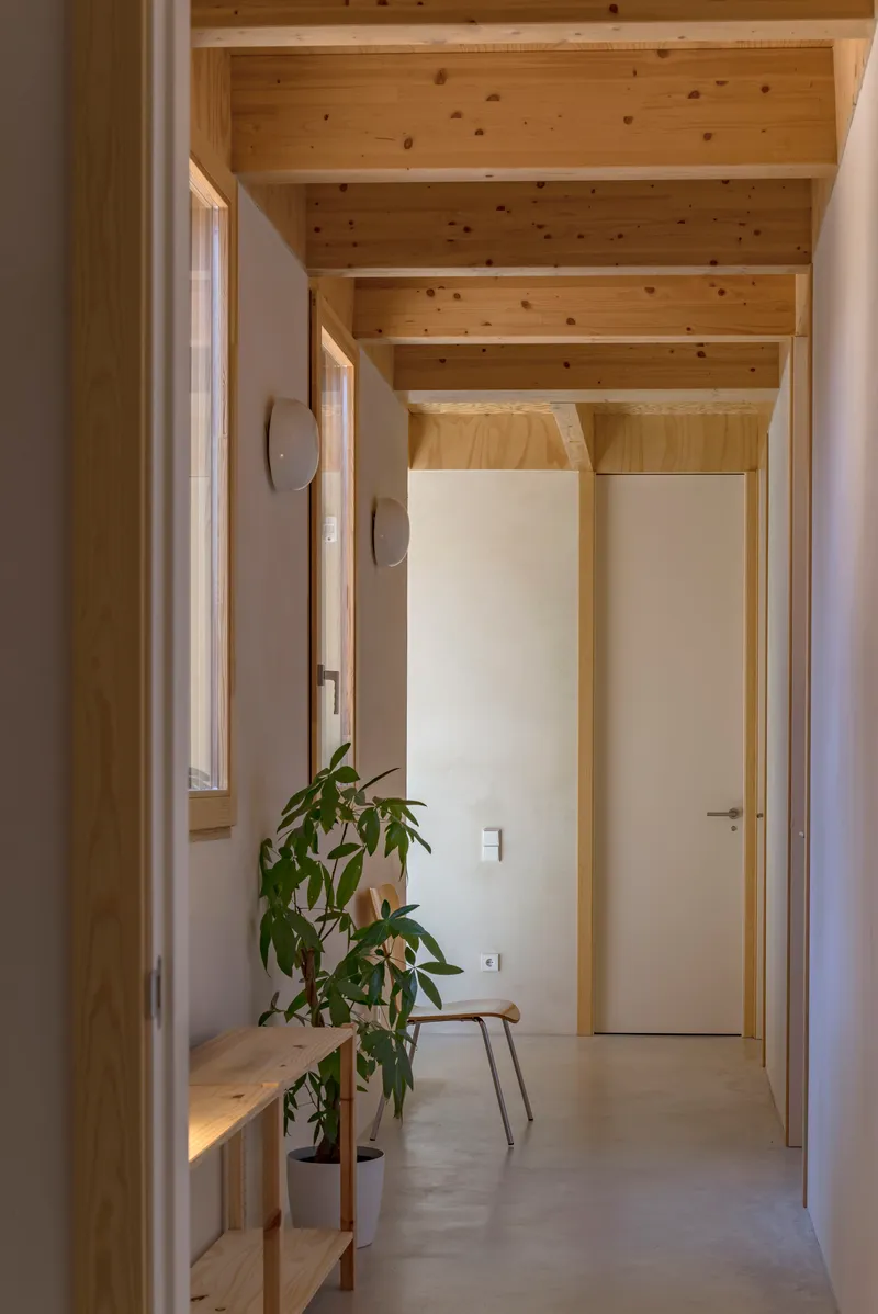 Corridor with exposed timber ceiling beams and a potted plant beside a timber bench
