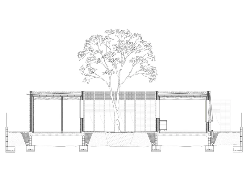 Section drawing showing two pavilion volumes separated by a central courtyard with a tall tree