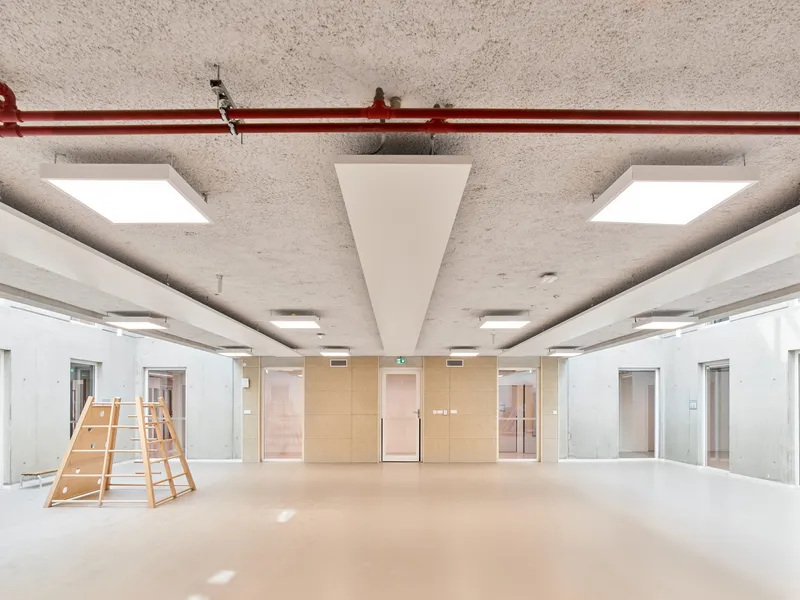 Open room with triangular acoustic panel suspended from the concrete ceiling and timber climbing frame
