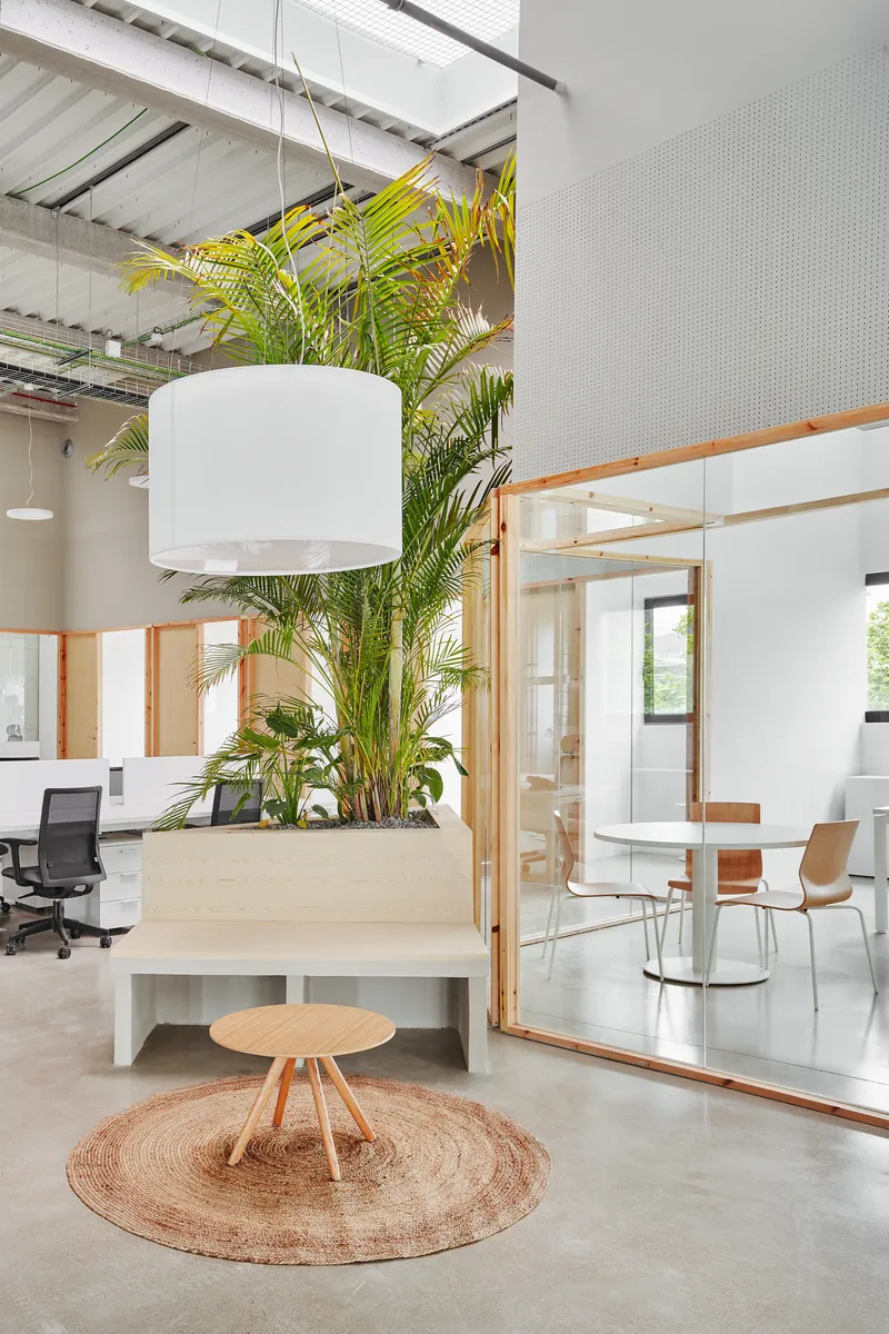Raised timber planter with palms and pendant light beside a low bench and meeting room
