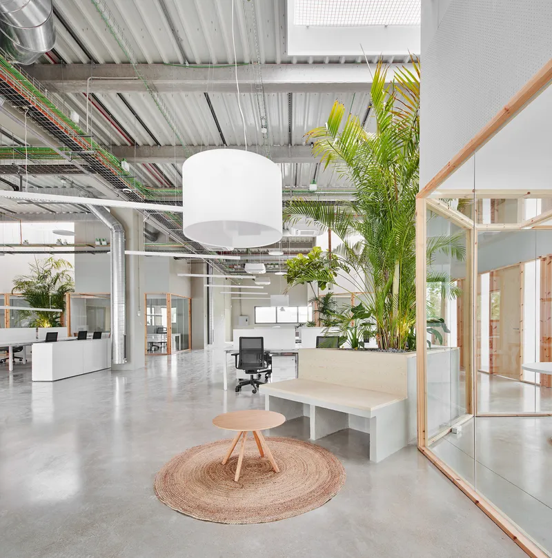 Open office interior with exposed metal ceiling ducts, potted palm trees and timber-framed glass partitions