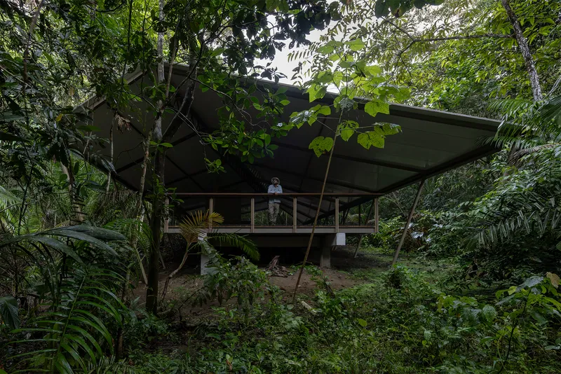 Elevated structure on concrete columns with butterfly roof sheltered by ferns and tropical trees