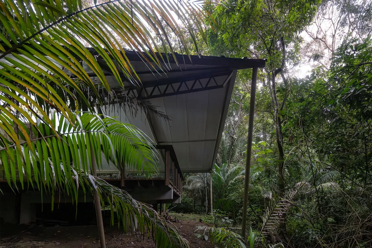 Héctor Ayarza and Estudio Garúa Lift a Training Center into Panama's Rainforest Canopy