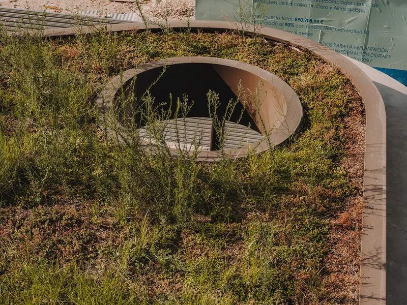 Close-up of circular opening in planted roof with native grasses and low groundcover