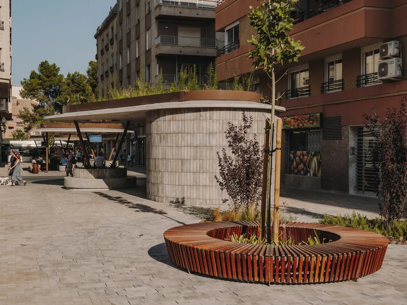 Circular timber bench with planted bed surrounding a young tree in a pedestrian plaza