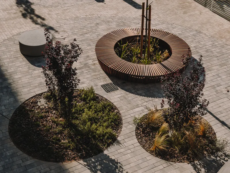 Overhead view of circular planted beds and timber tree bench on brick pavers