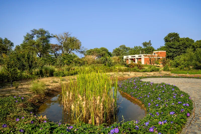 Water feature with purple flowering plants and reeds beside the brick structure in the landscape